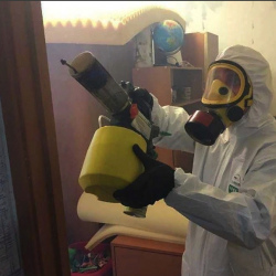 Уничтожение клопов в квартире. Нефтегорск